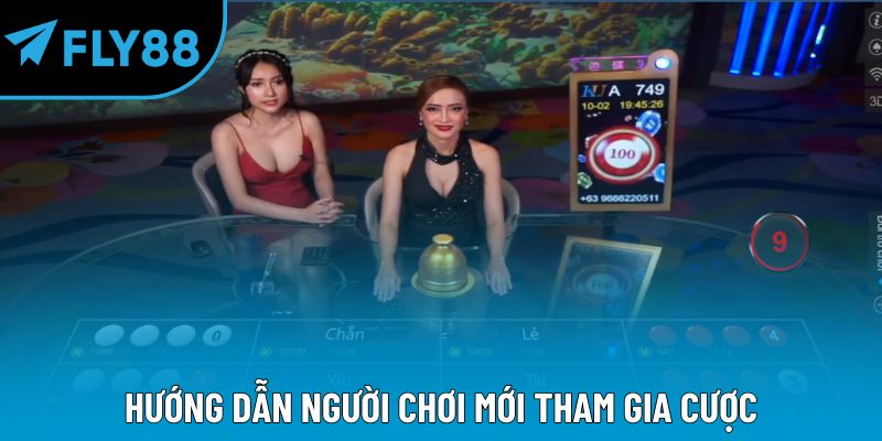 Hướng dẫn người chơi mới tham gia cược